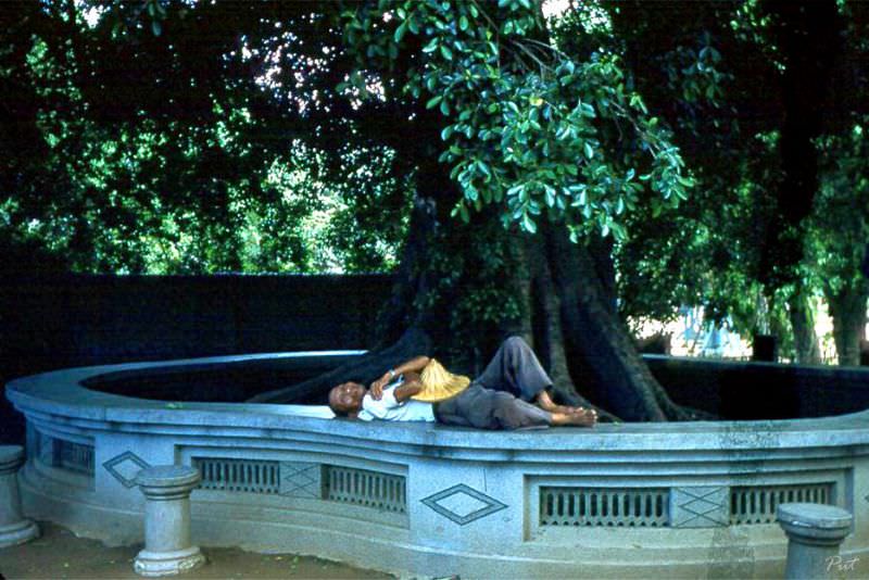 Tainan siesta, Taiwan, 1954