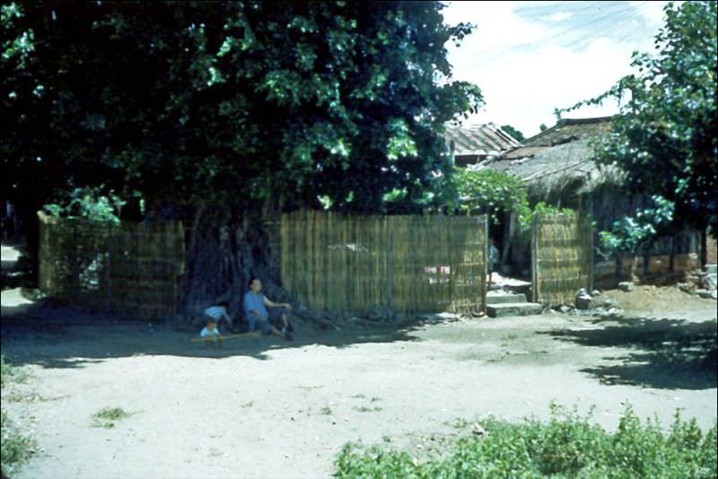 Catching shade, Taiwan, Tainan, 1954