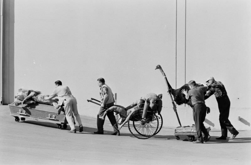 The Universal studio lot, Hollywood, 1963.