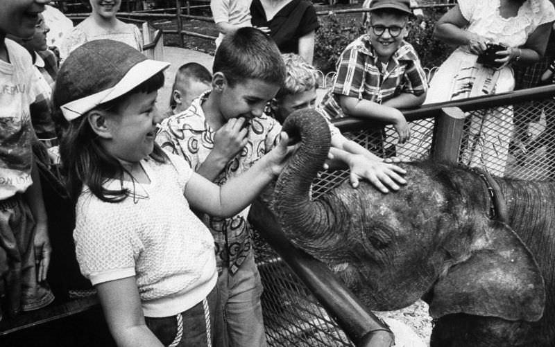 When Love Knows No Bounds: Children's Endearing Affection for Baby ...