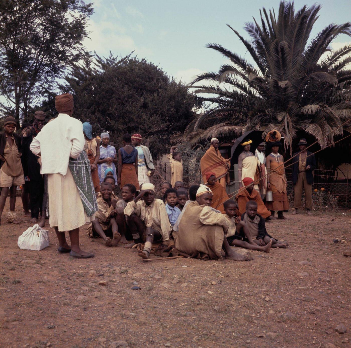 Cape Province Film Audience, 1952