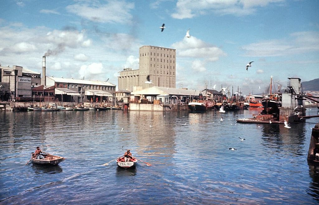 Victoria Basin 1955.