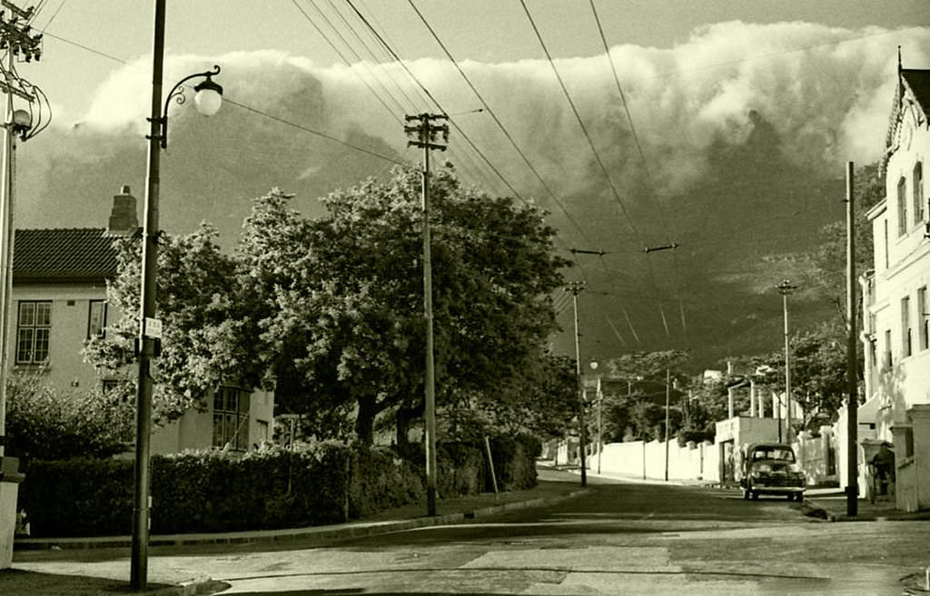 Upper Buitenkant street, Dec. 1951.