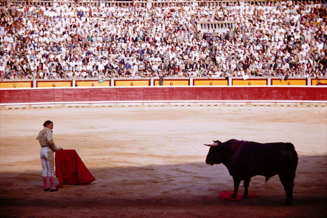 Plaza de Toros, Pamplona, Spain, 1954