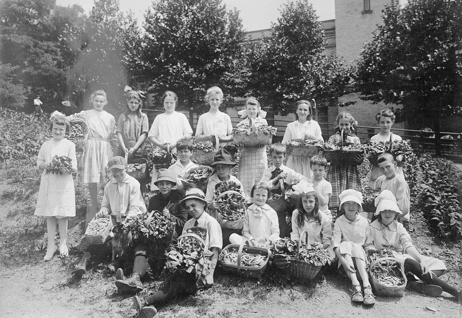 School Gardens, Penn Division, Pittsburgh, 1918