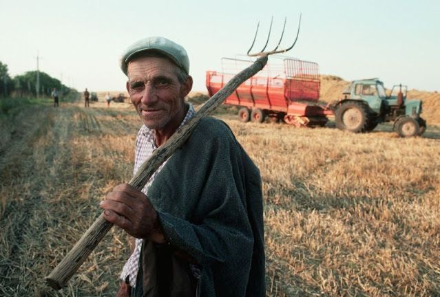 Wheat harvest on collective farm, Lviv, Ukraine, 1991