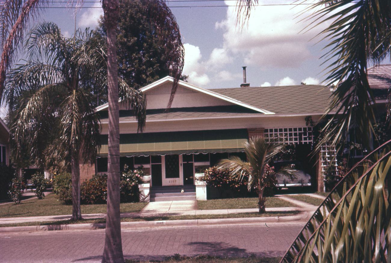Palm trees and a home in Tampa, Florida on W Southview Avenue, August 23, 1957.