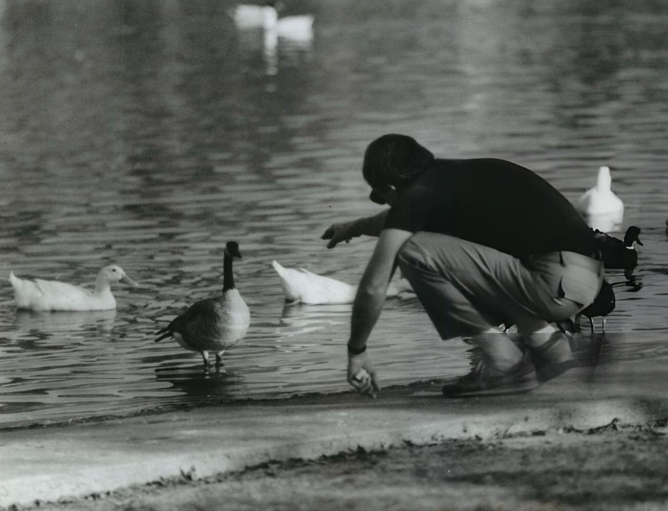 Craig Bradley enjoys sunny weather at Hermann Park's duck and goose pond, Houston, 1980s