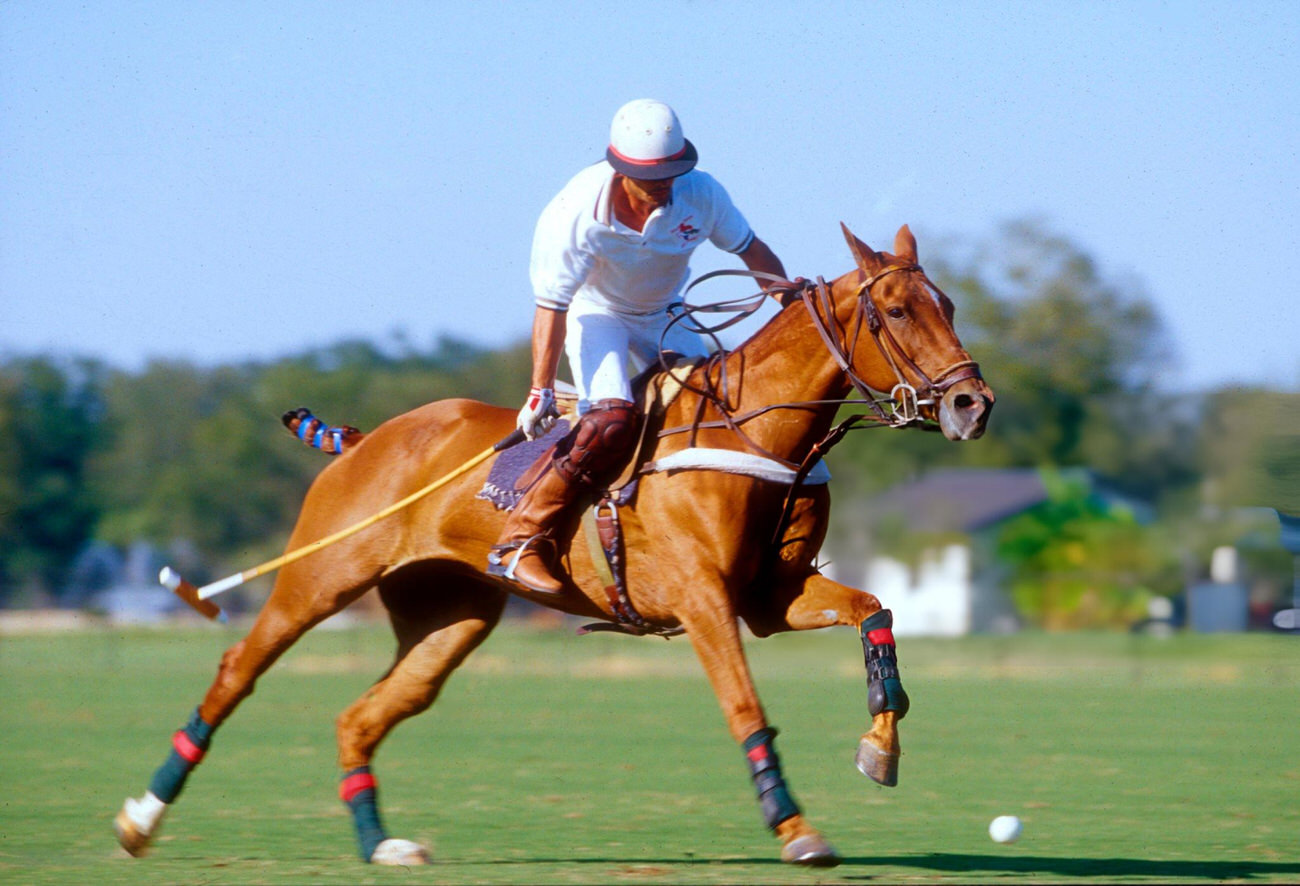 A high-goal player at Ranch Polo in 1997 showcases the sporting and cultural dimensions of polo, reflecting the diverse interests within Houston, Texas.