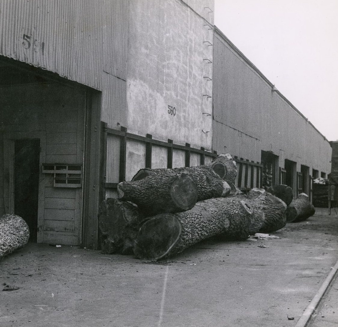 Lumber pile outside warehouse, Houston Ship Channel, 1951