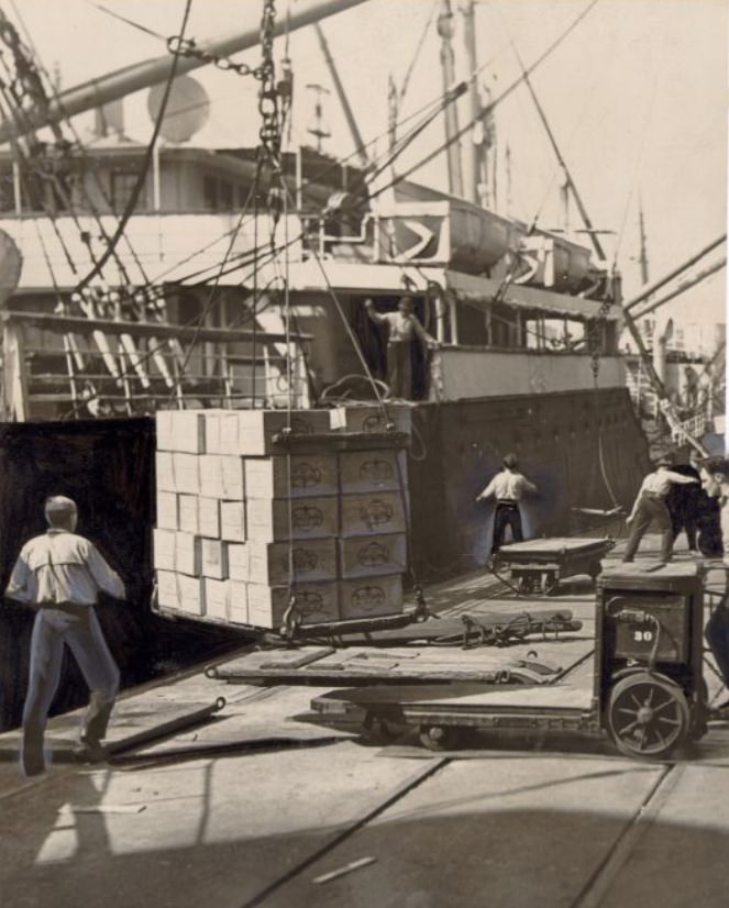 Longshoremen loading cargo onto a freighter, 1938