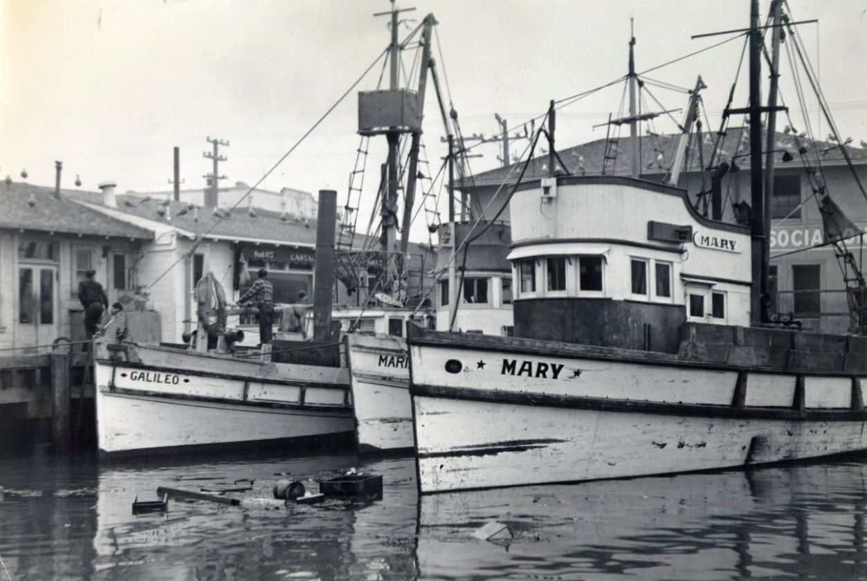 Fishing boats at Fisherman's Wharf, 1937