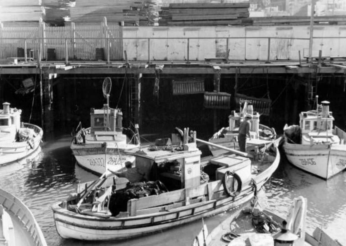 Fisherman's Wharf, 1946