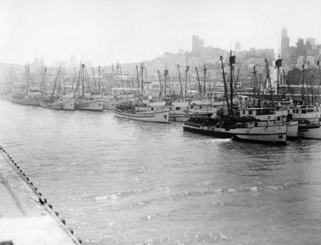 Harbor and Bay at Fisherman's Wharf, 1949