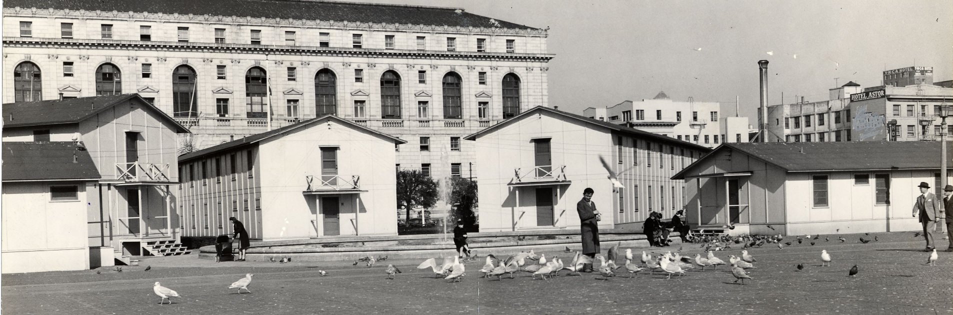 Pigeons and seagulls in Civic Center Plaza with Temporary Barracks, 1944