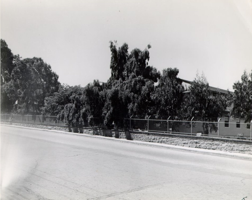 Presidio, 1946