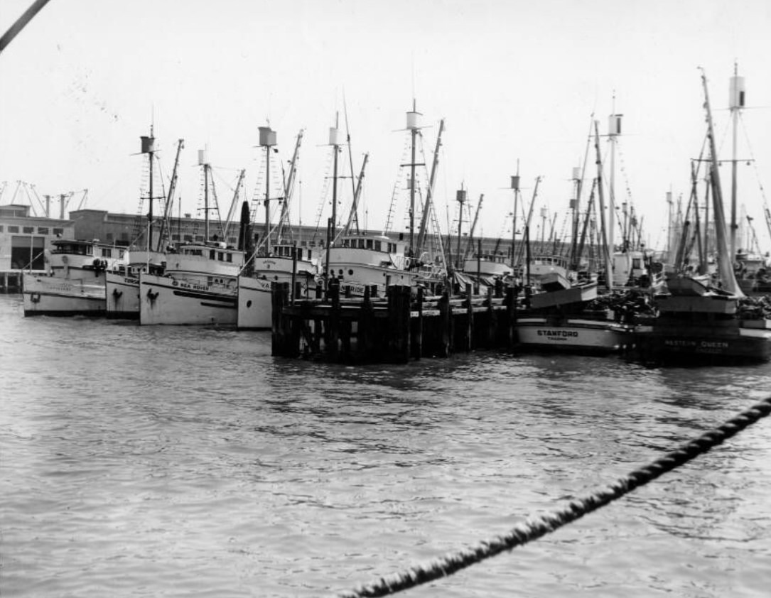 Harbor and Bay at Fisherman's Wharf, 1949