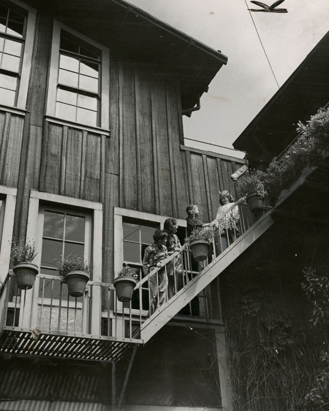 Four youths at Telegraph Hill Settlement House, 1950.