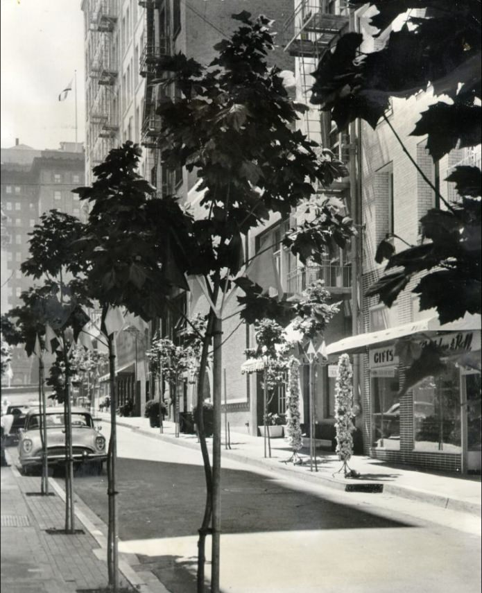 Maiden Lane, 1959.