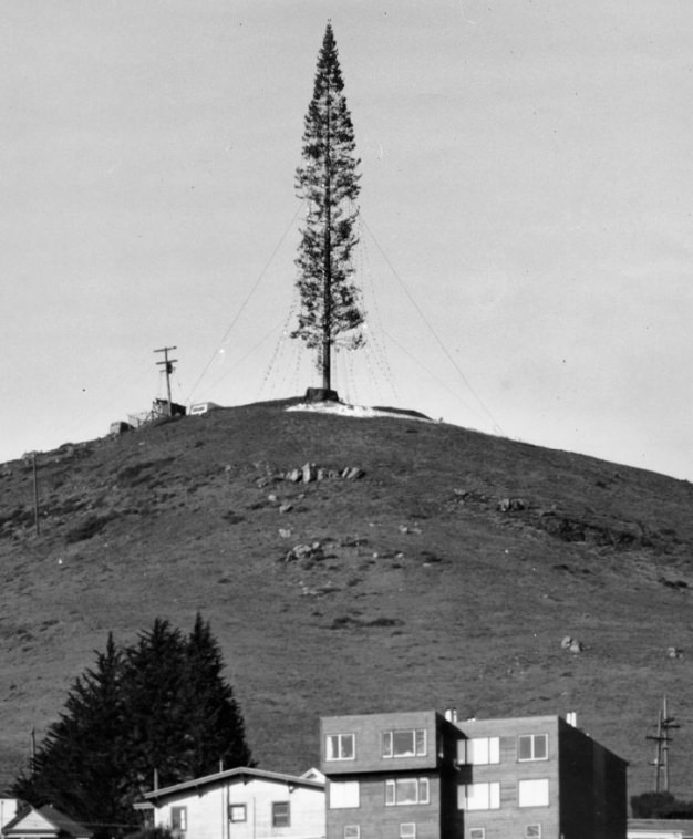 Christmas Tree Hill, San Francisco, California, circa 1950.