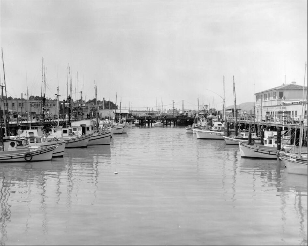Boats docked at Fisherman's Wharf, 1958.