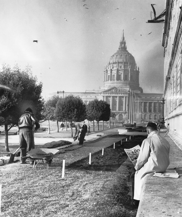 View of City Hall from the Main Library with workers laying lawn, 1962.