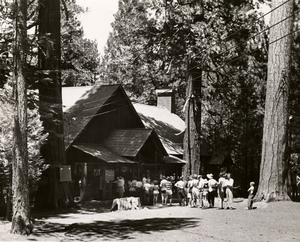 Campers receiving meals at Camp Lodge cafeteria, Camp Mather, 1946.