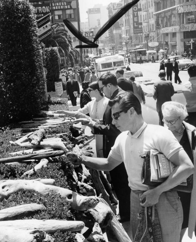Pedestrians inspecting driftwood from Crescent City on Powell Street, Union Square, 1965.