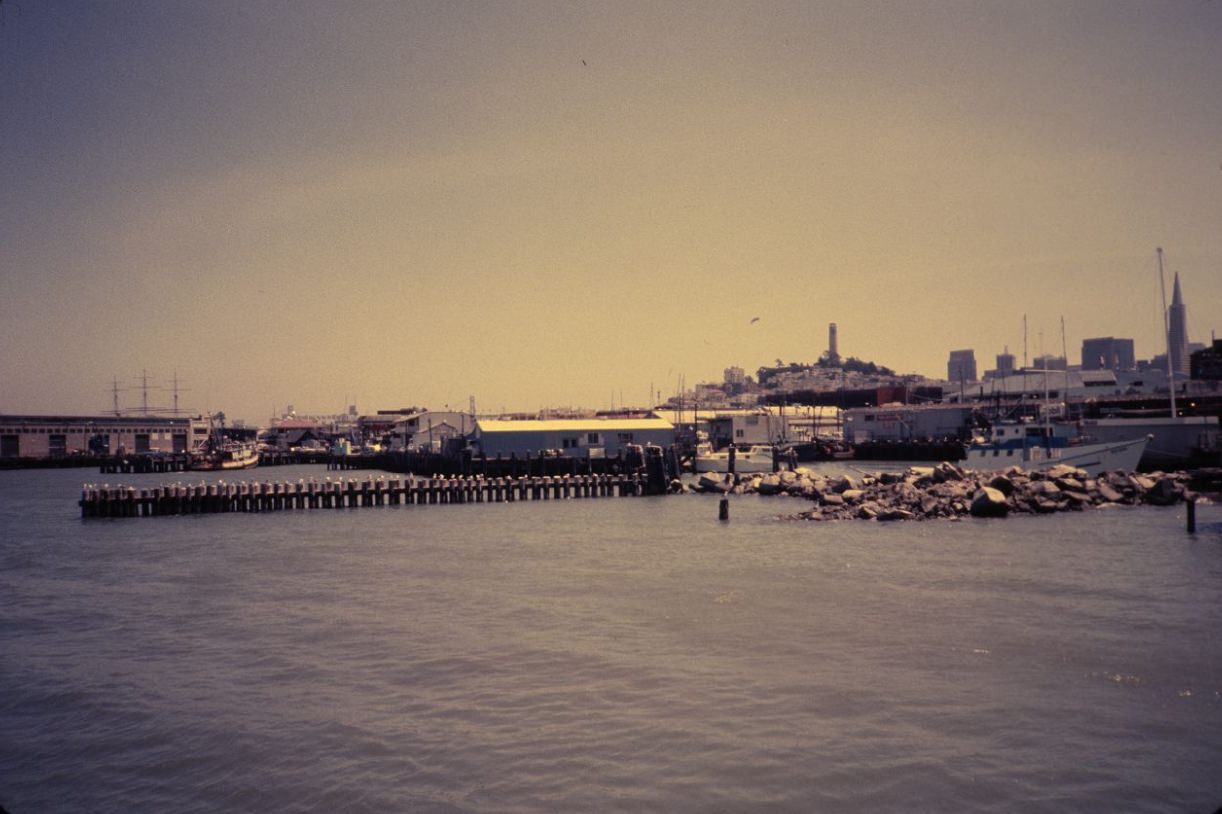 Boats docked at Fisherman's Wharf, 1984.