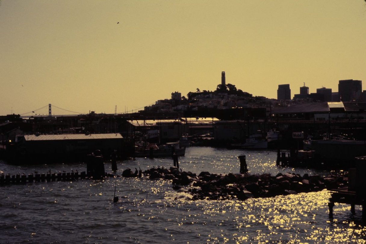 Dock at Fisherman's Wharf, 1984.