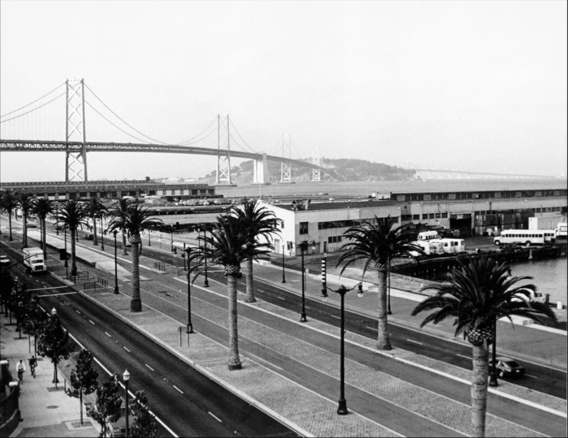 View of palm trees along the Embarcadero Roadway with the Bay Bridge in the background, 1994.