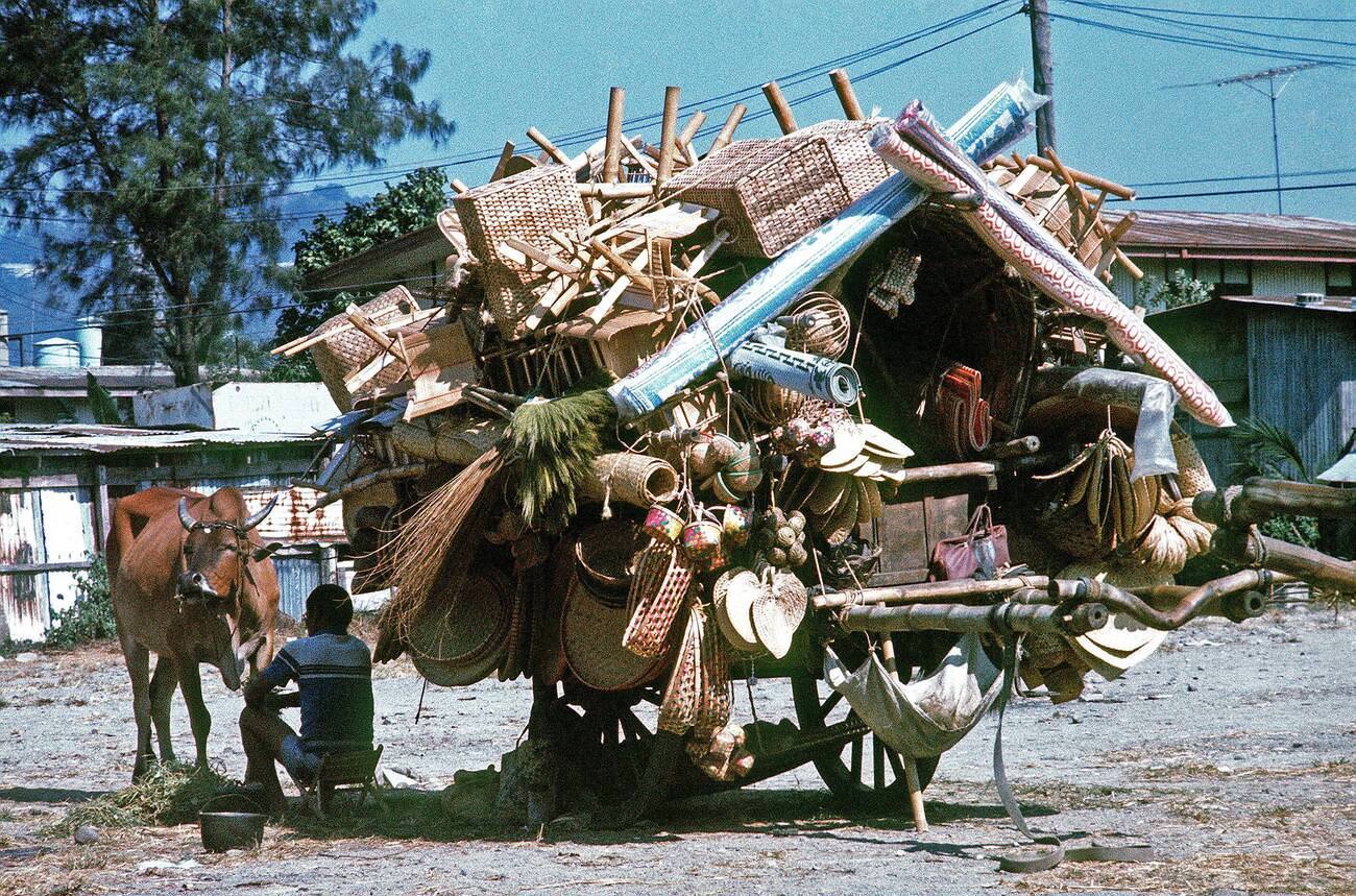 A native merchant in the Philippines with his wagon of merchandise in 1979.