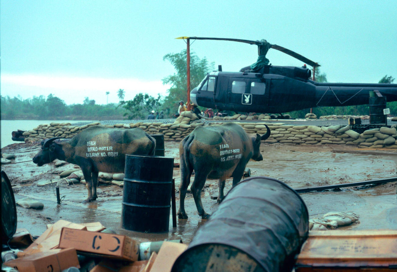 The 'Apocalypse Now' film set in the Philippines, 1978, featuring carabaos, oil drums, sandbags, and a military helicopter with the Playboy logo.