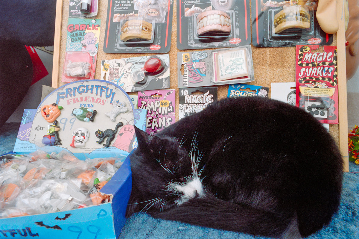 Cat, High Rd, Leyton, Waltham Forest, 1989