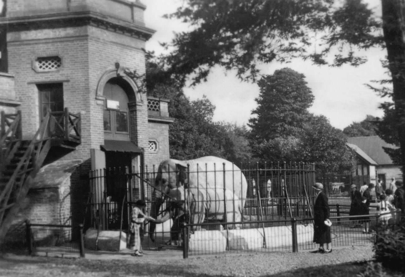 Elephant House, Zoological Gardens, Phoenix Park, Dublin, 1925.