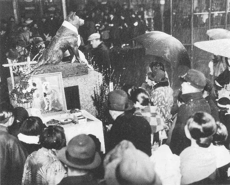 Hachiko: The Touching Story of a Loyal Dog who Waited for Ten years for his Deceased Owner