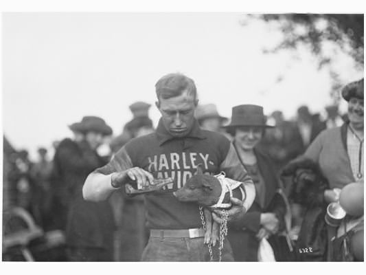 Hog Boys: Vintage Photos of The Harley-Davidson Racers Who Started It All