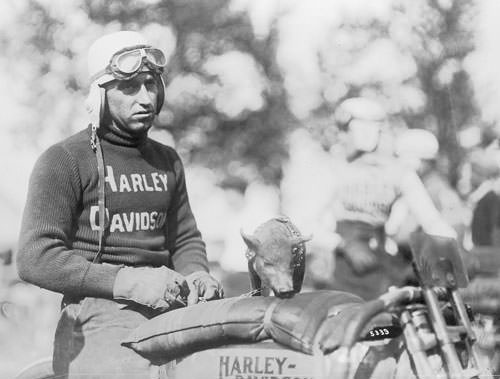 Hog Boys: Vintage Photos of The Harley-Davidson Racers Who Started It All