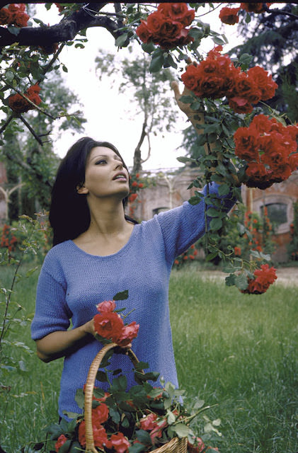 Sophia Loren at her Italian villa, 1964.