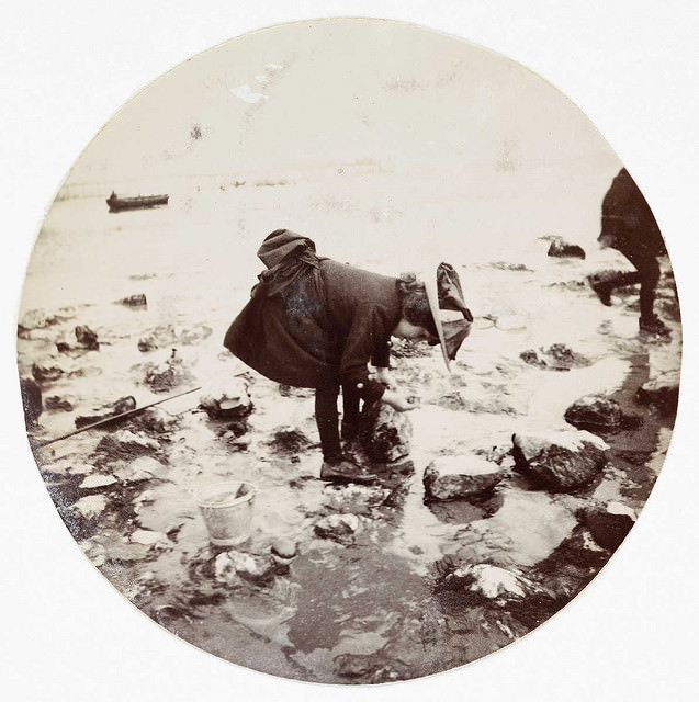 Girl looking in a rock pool