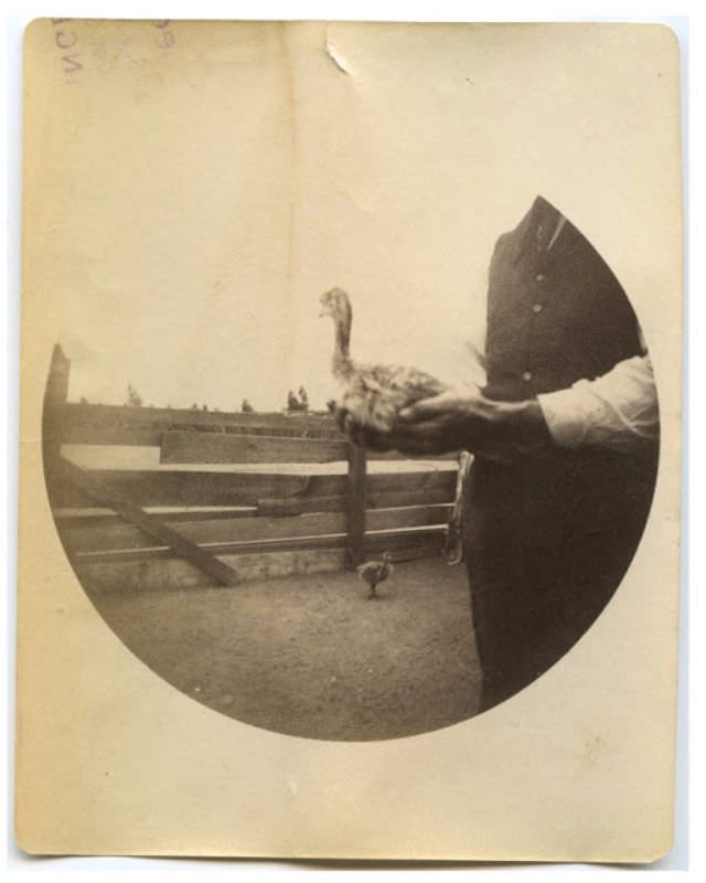 These Round Pictures Were Some of the First Candid Snapshots take with Kodak’s First Commercial Camera, 1890s