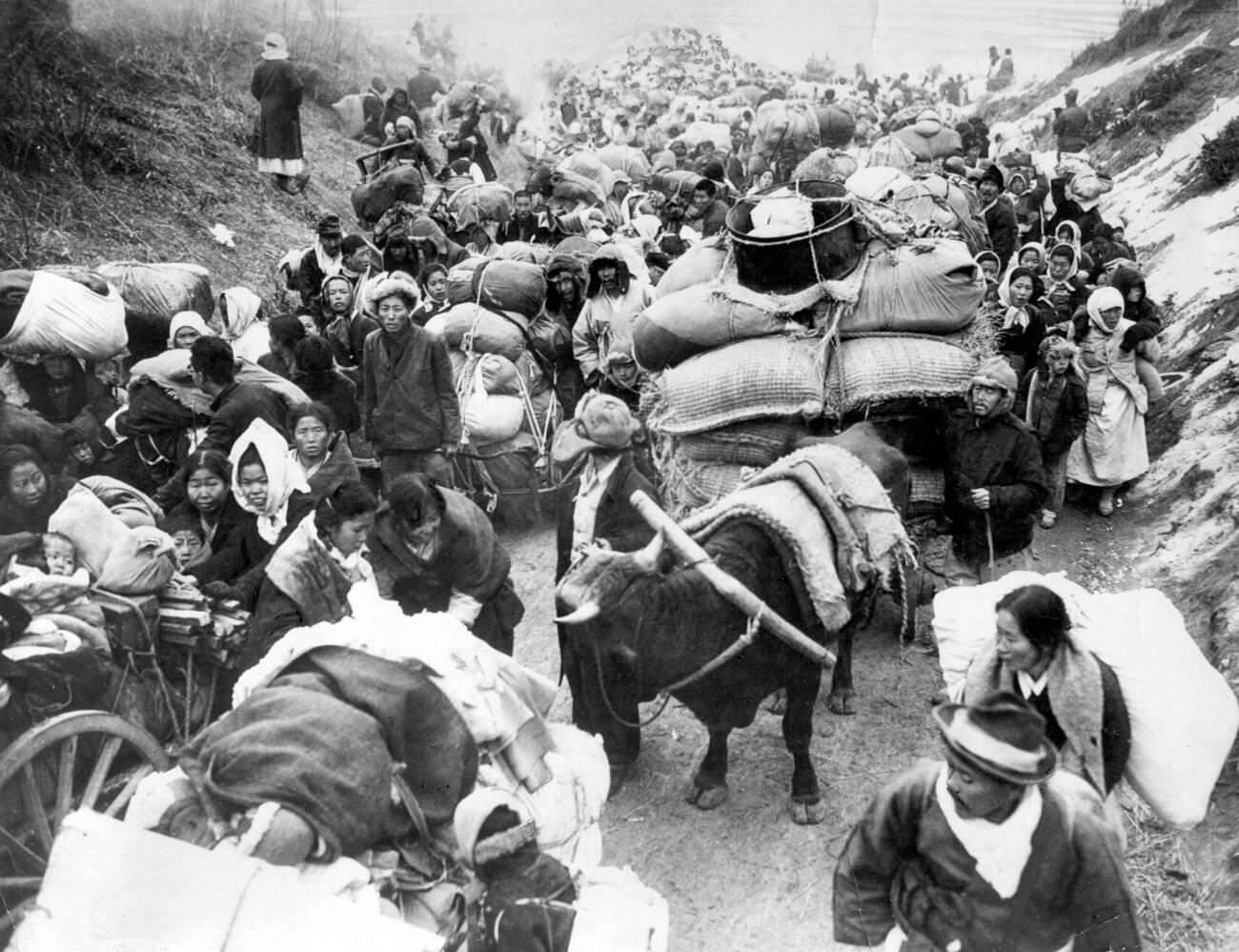 Korean refugees fleeing during the Korean War, 1950s.