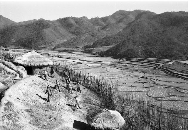 Troops on patrol in Korea, 1952.