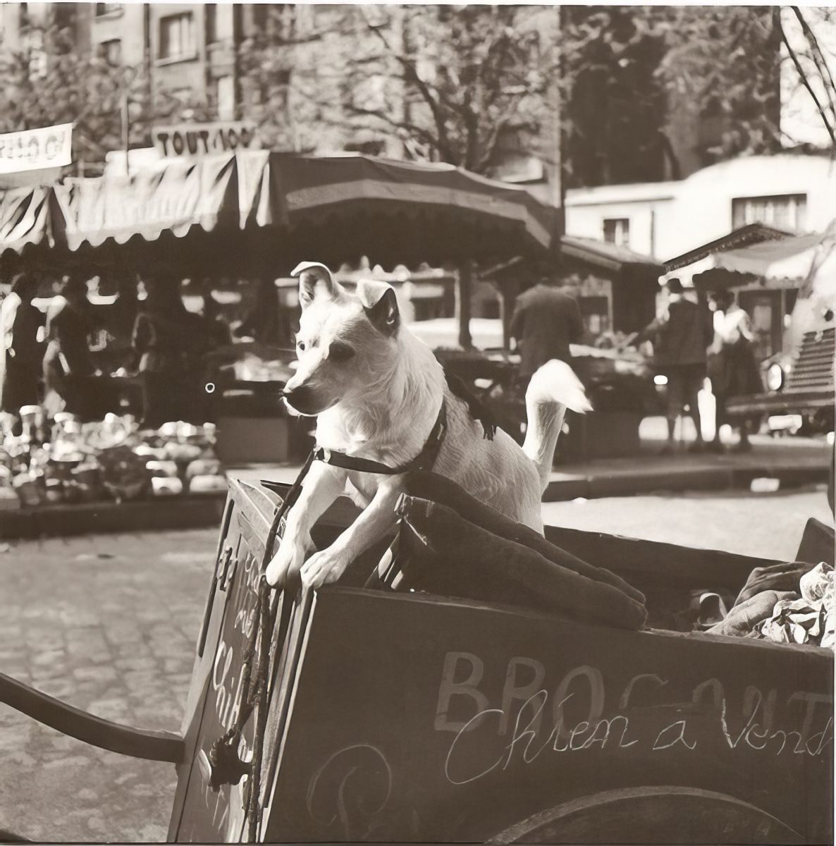 A Photographic Tour of Paris in the 1930s Through Roger-Viollet's Lens