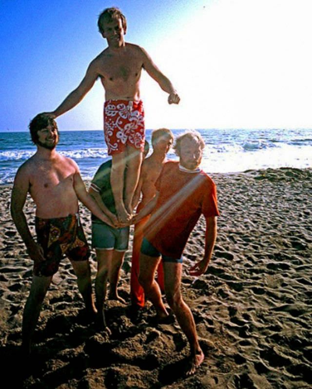 The Beach Boys, 1966