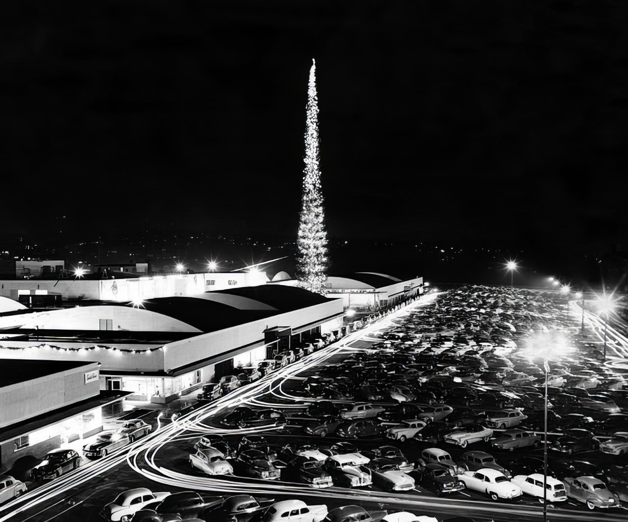 212 Feet of Holiday Cheer: Reliving the World's Tallest Christmas Tree in 1950