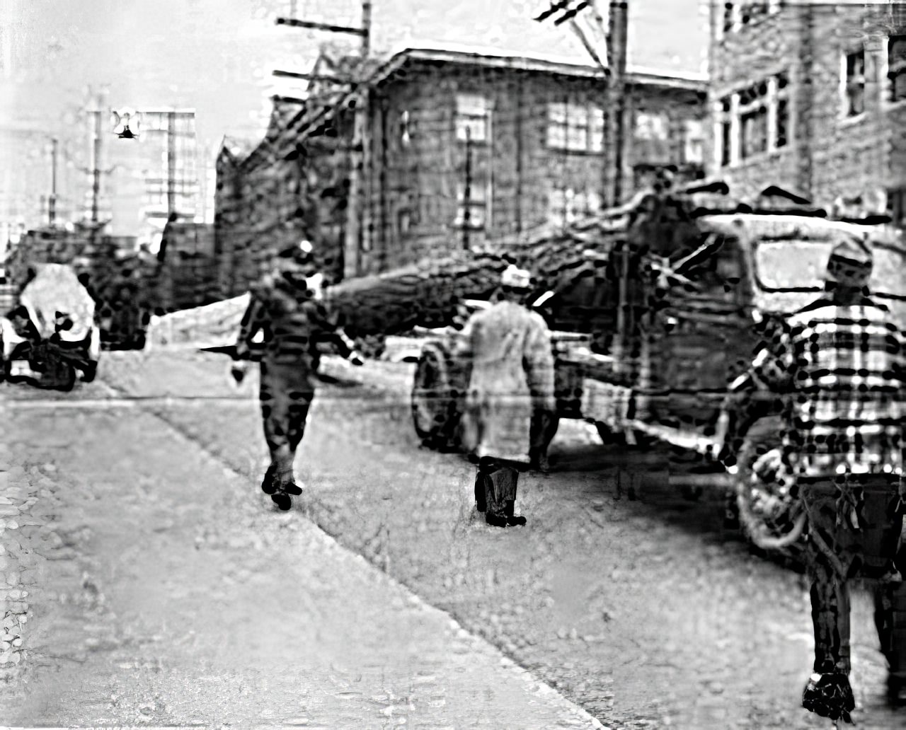 212 Feet of Holiday Cheer: Reliving the World's Tallest Christmas Tree in 1950