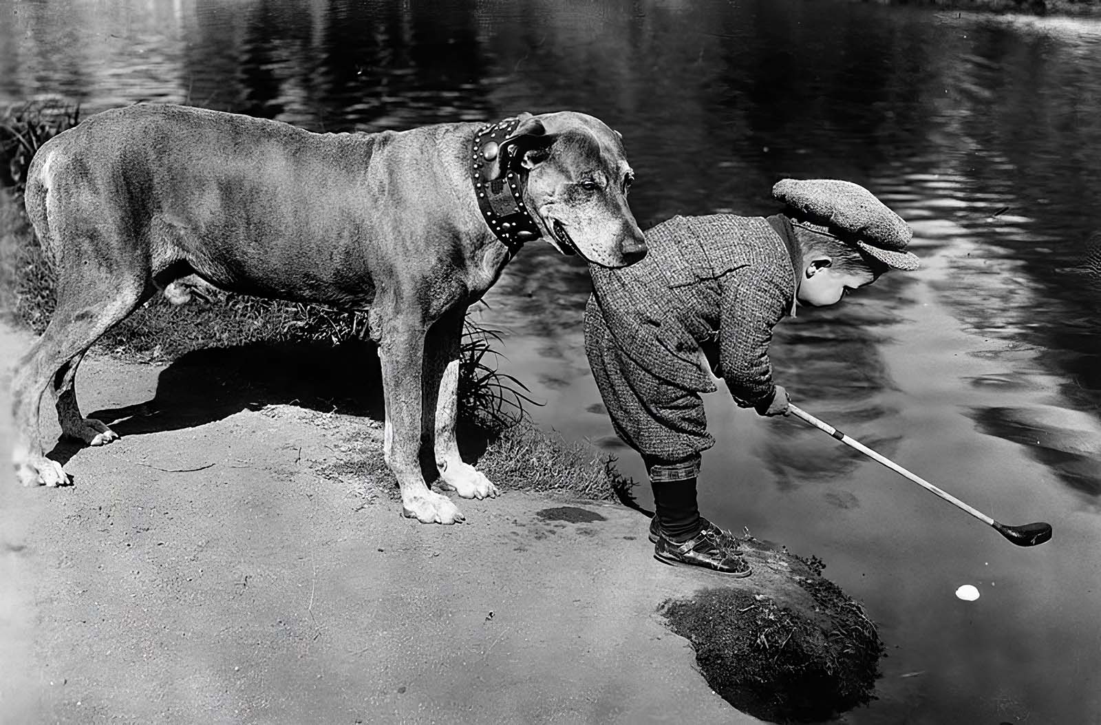 Adorable Vintage Photos of People with their Pets from the Past