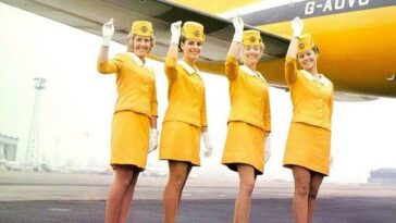 Evolution of Stewardesses