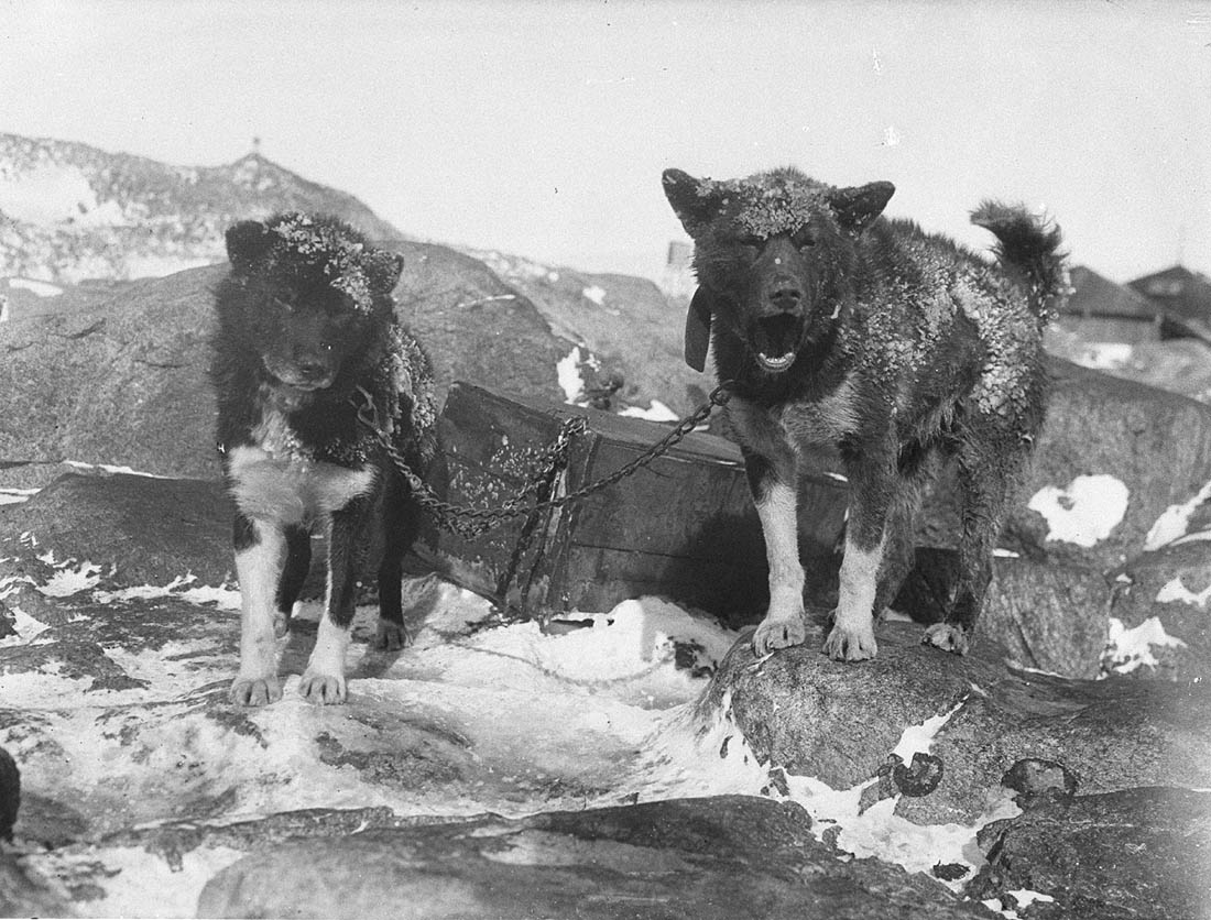 The 1911 Expedition to Antarctica: Frank Hurley's Photographic Documentation of the Australasian Antarctic Expedition